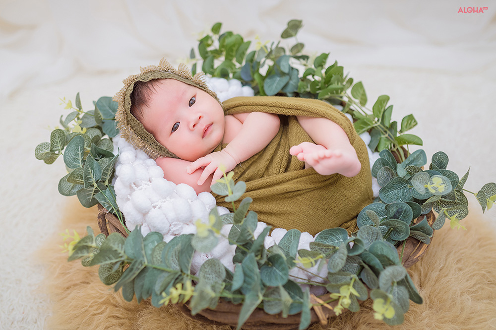 album ảnh newborn 14